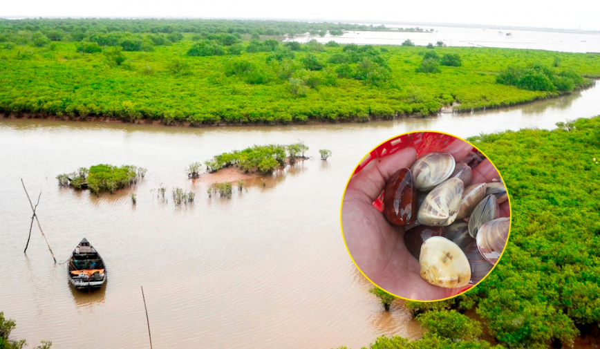 Học sinh, phụ huynh không may gặp nạn khi trải nghiệm bắt ngao tại vườn quốc gia ở Nam Định