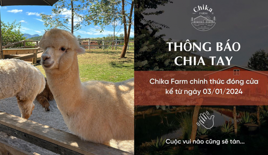 Vì sao Chika Farm ở Đà Lạt đóng cửa dù rất đông khách tham quan?