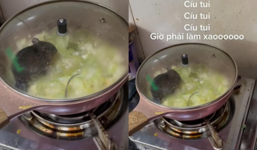 “Nổi da gà” người phụ nữ tá hỏa phát hiện chuột ăn bầu trong chảo dù đã đậy vung kín mít