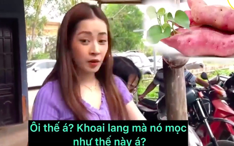 Chi Pu và loạt phát ngôn 'hắc não' về kiến thức cơ bản: Nòng nọc là con của con cá, không biết khoai lang mọc dưới đất