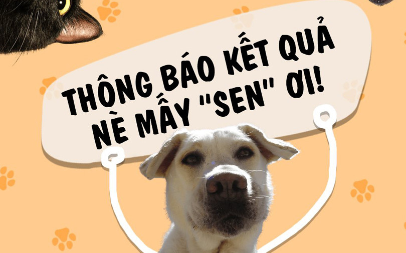 Lộ diện các 'Sen' thẳng giải cuộc thi “Thanh Xuân Có Boss”