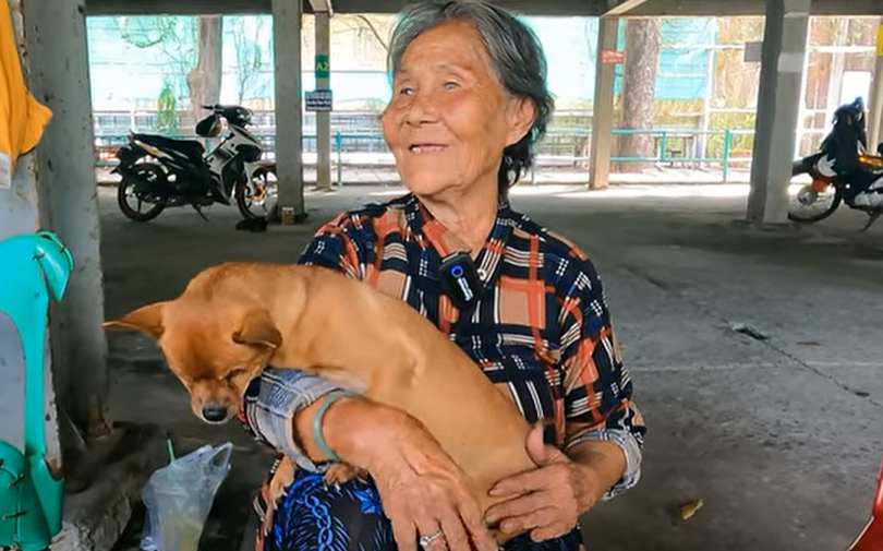 Xúc động câu chuyện bà lão nhặt ve chai cưu mang những chú chó tàn tật, ai xin cũng nhất quyết không cho