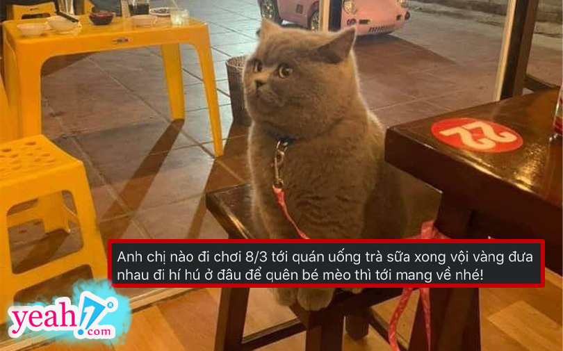 Cặp đôi đi chơi 8/3 bỏ quên “quàng thượng” ở quán trà sữa khiến dân mạng “cười ra nước mắt”
