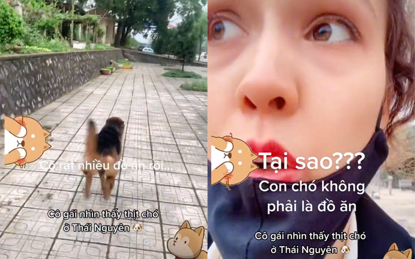 Cô gái người Nga hoảng hốt khi được mời ăn thịt chó: 'Tại sao?, con chó không phải là đồ ăn'