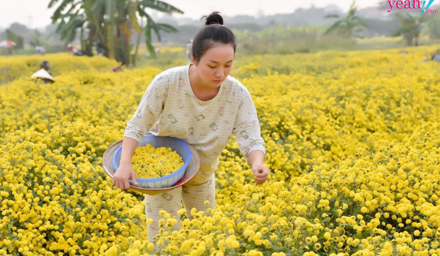 Cô gái triệu view Tiktok: Đánh đổi cuộc sống ổn định để khởi nghiệp với thương hiệu Mộc Nhan