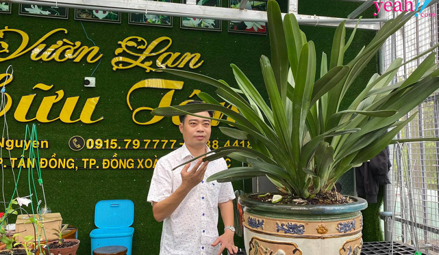 Ông chủ vườn lan 8X Nguyễn Hữu Tân và mơ ước về một vườn lan trăm loài