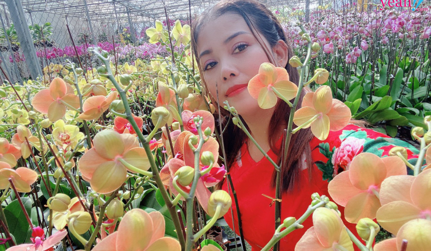 Cô chủ vườn lan Nguyễn Hằng và câu chuyện theo đuổi đam mê