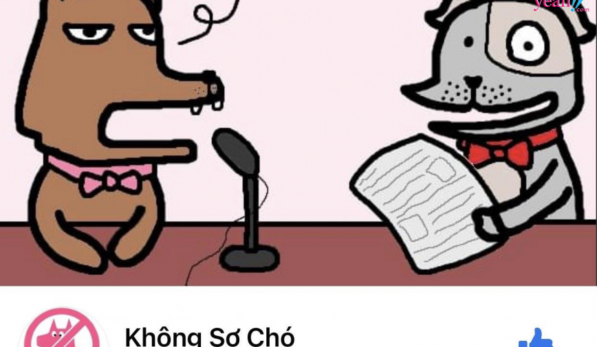 Không Sợ Chó - Góc nhìn đa chiều trong sự kiện cuộc sống