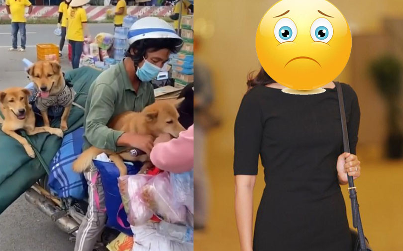 Một nữ diễn viên nổi tiếng muốn gửi đơn tố cáo vì quá bức xúc chuyện 15 chú chó bị tiêu huỷ oan ức