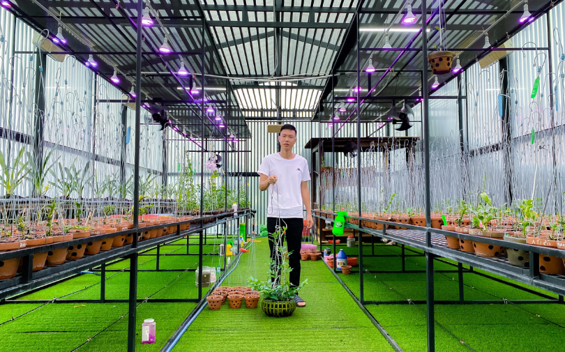 Vườn lan Bảo Phạm với hàng nghìn gốc lan đột biến quý hiếm khiến dân tình trầm trồ