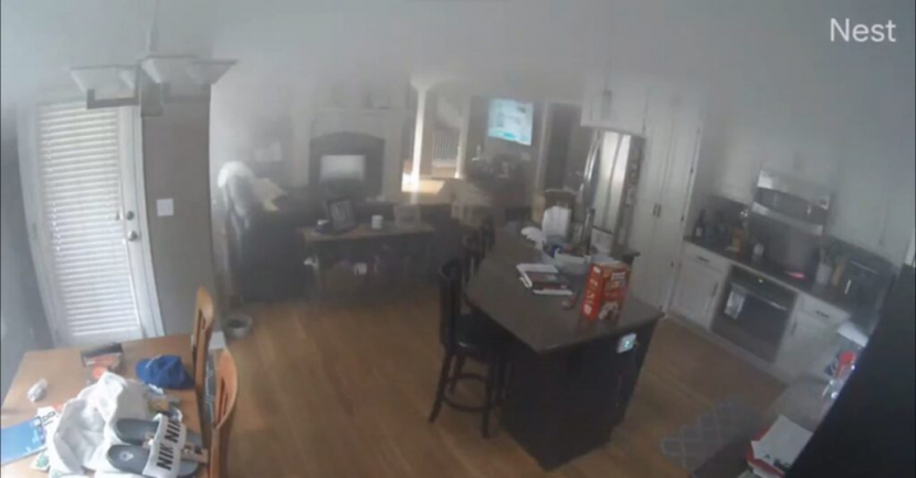 Chú chó vô tình chạm vào nút cảm ứng bật bếp, khói bốc lên, chủ nhà nhìn thấy qua camera giám sát
