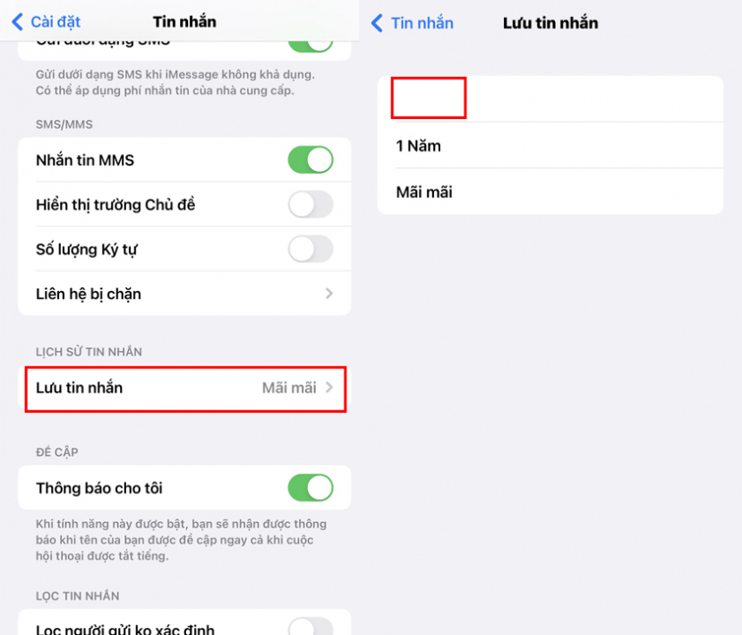 Cách giải phóng dung lượng iPhone nhanh chóng. Quản lý dữ liệu của bạn một cách hiệu quả - ảnh 8