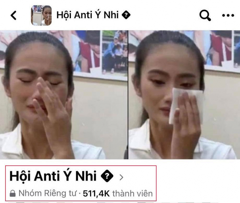 Tính đến thời điểm hiện tại, Ý Nhi là hoa hậu có nhóm anti-fan trên mạng xã hội có lượng thành viên đông nhất. 