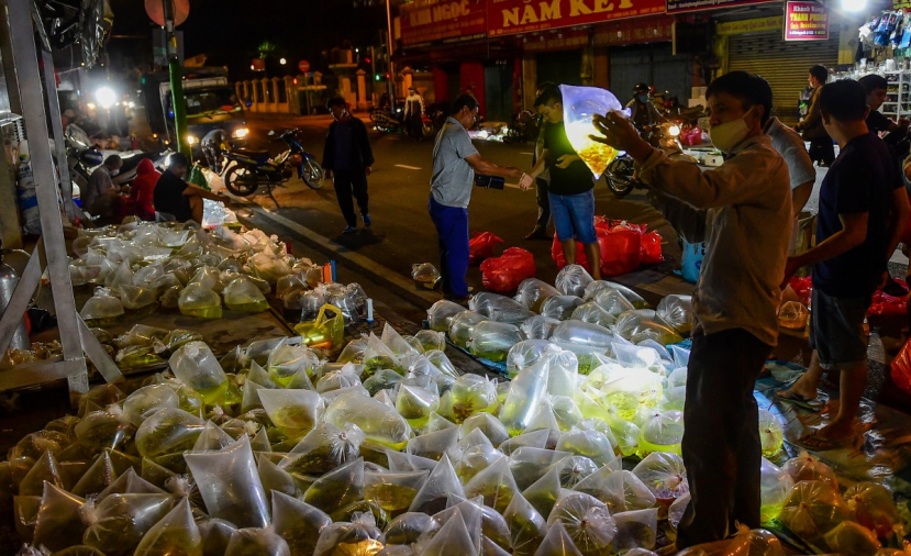 Người dân phải rọi đèn săm soi mới lựa được bọc hàng ưng ý.