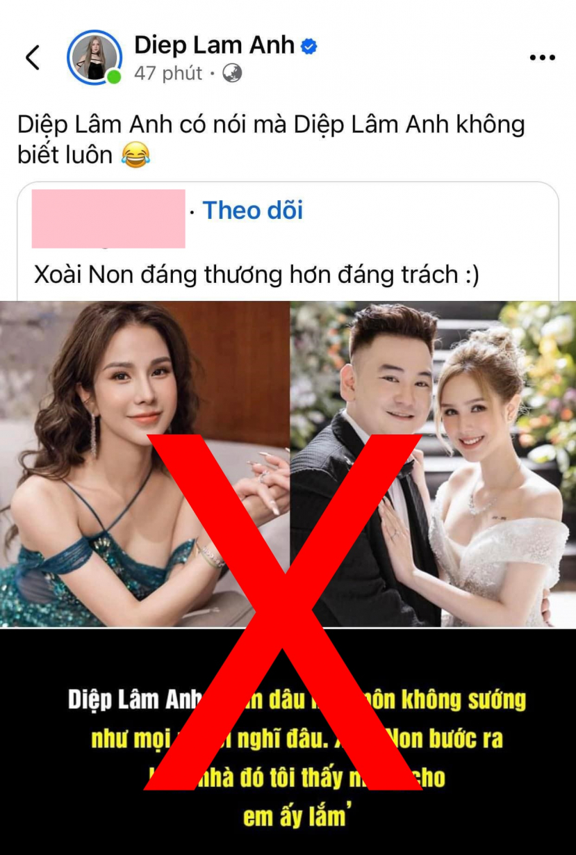 Xôn xao phát ngôn của Diệp Lâm Anh về việc mừng cho Xoài Non khi ly hôn, chính chủ lên tiếng nói rõ quan điểm - ảnh 2