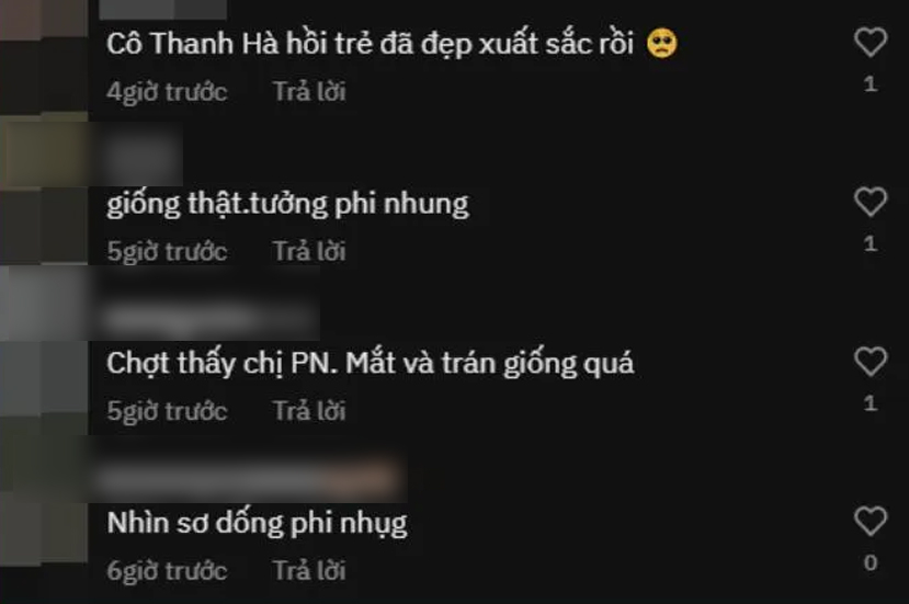 Xuất hiện người giống hệt cố ca sĩ Phi Nhung, tưởng ai hóa ra rất quen thuộc - ảnh 3