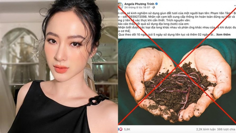Angela Phương Trinh bị yêu cầu 'phong sát'? - ảnh 4
