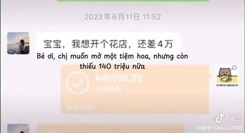 Chị gái Mèo Béo lên tiếng về Đàm Trúc: 1,8 tỷ chỉ là tiền chuyển khoản, còn có túi xách hàng hiệu - ảnh 8